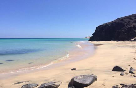 Welooveyou Blue Collection - Photo 30