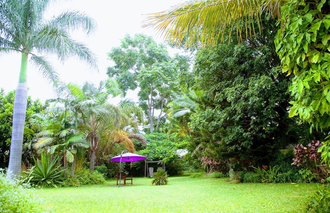 Lush Gardens Apartment 2 - Photo 22