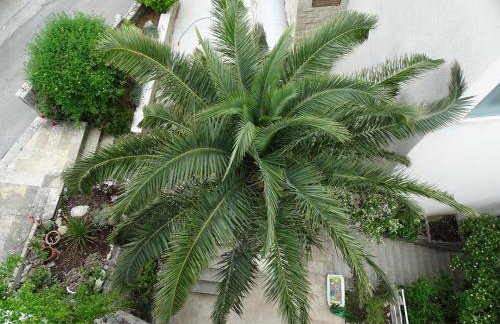 Sunset Villa Brela - Foto 19