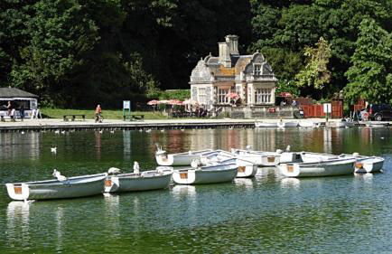 Angel Cottage in stunning Arundel - Foto 19