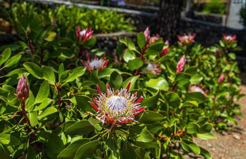 Casa Mi Arcadia - Foto 8