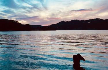 Chez Georges - Maison 2 - Les Gîtes du Verdon - Foto 20