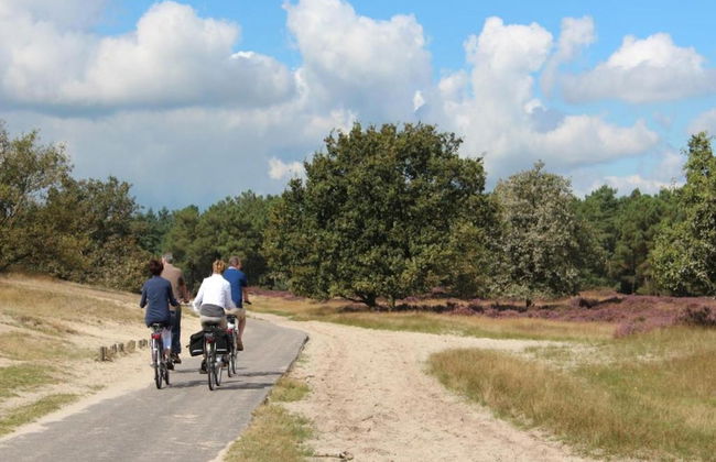 Chalet Near Loonse and Drunense Duinen - Photo 29