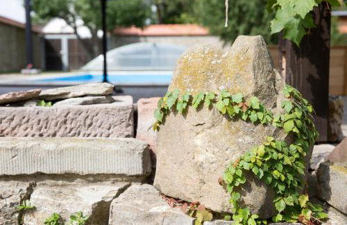 Ferienhaus-Pressler-Erfurt - Foto 14