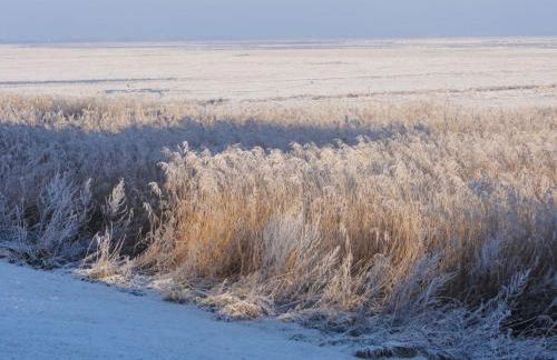 Ferienwohnung Luxus mit Wattenmeerblick - Foto 29
