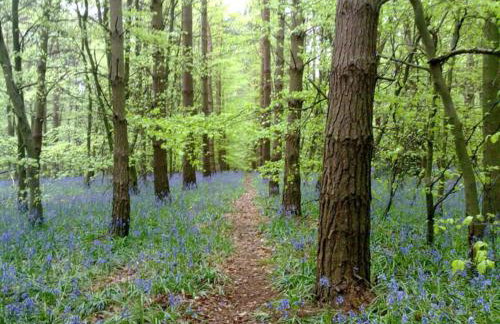 Upper Bray Cottage Badby, Daventry - Foto 16