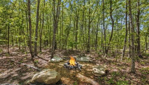 Menlo GA Tiny Home Experience - Foto 5