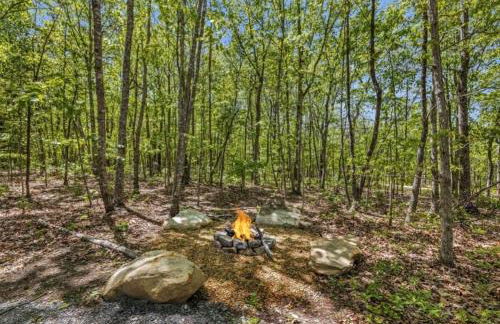 Menlo GA Tiny Home Experience - Foto 5