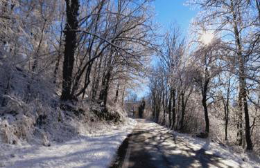 Stara hiža - Foto 45