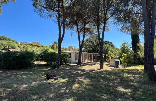 Appartamenti Sterlizia 2 - Foto 14