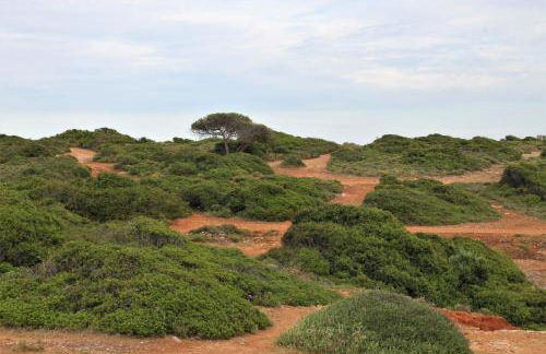 Apartamentos Turisticos Praia Grande - Foto 27