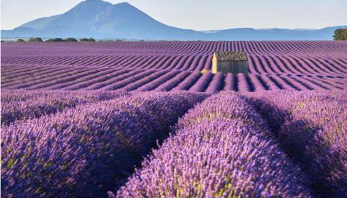 La Villa Tria Castella - Foto 5