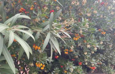 Villa Marghe - Foto 62