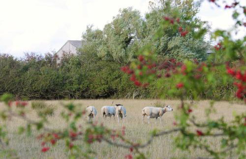 Cosy Cottage in Rural Lympsham - Foto 7