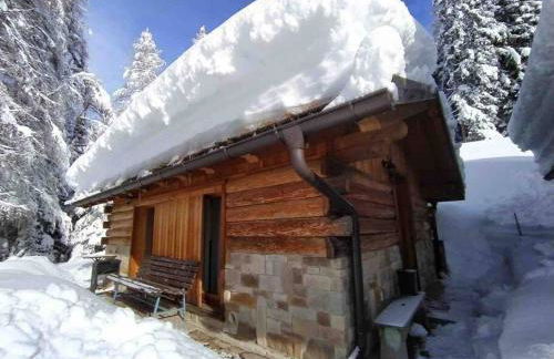 LA VOCE DEL BOSCO Selva di Cadore - Foto 15