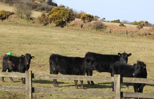 Badgers Sett - Foto 16