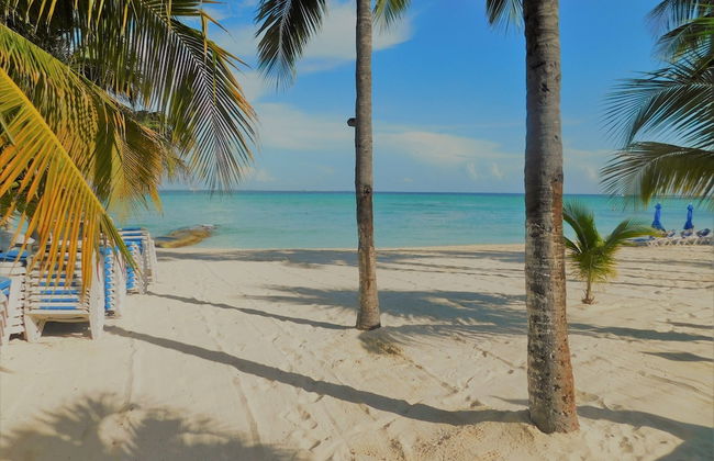 Nautibeach Condos - Foto 25