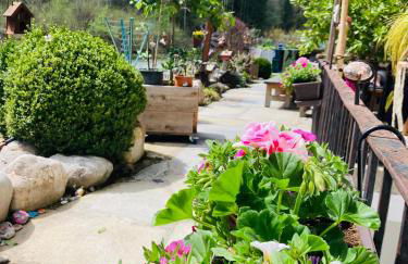 Ferienwohnungen Anni im Paradies - Foto 10