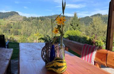 Domek do wynajęcia - Foto 9