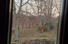 Rustic Retreat-Country House - Foto 25