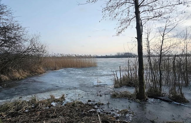 Fabulous Holiday Home in Thorstorf near Sea - Foto 29