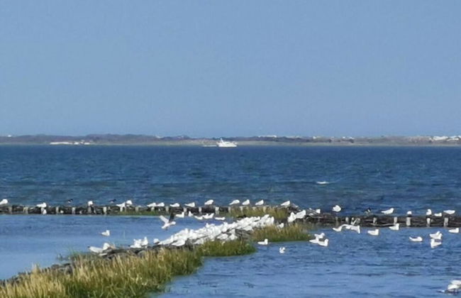 Dinkla 1 Comfortable Holiday Residence - Photo 10