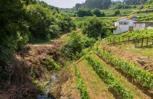 Quinta Da Cevidade - Foto 53