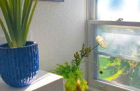 Ana Maria del Azul - Foto 13