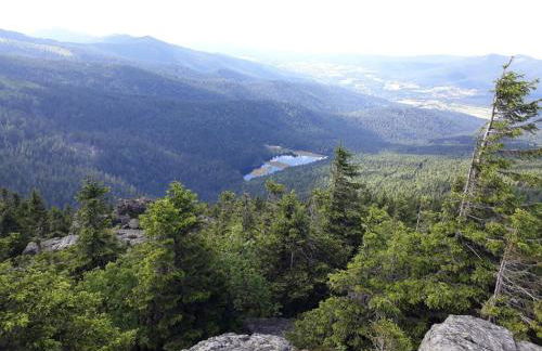 Ferienhaus Schachtenbach - Foto 16