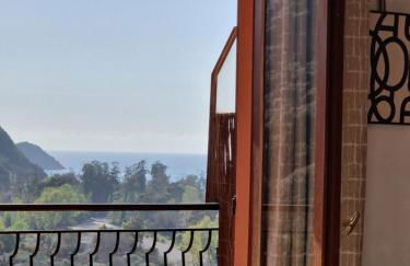 T2 vue mer & montagne Golfe de Porto-Ota - Foto 24