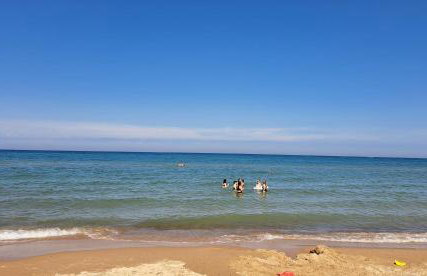 Bold Stump Cottage - Foto 46