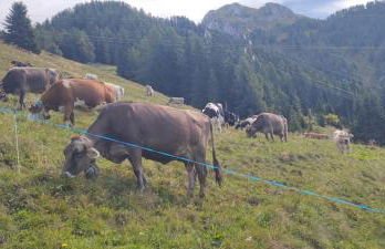 condominio Brembo a casa di Barbara - Photo 13