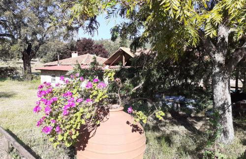 Casa da Vinha - Foto 34