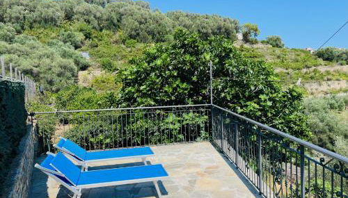 La Casa del Fico - Foto 4, Garden