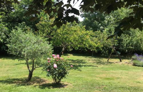 Borie Grande - Foto 18