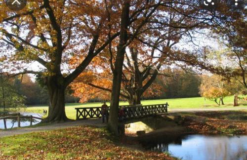 City-Apartment Dülmen - Foto 13