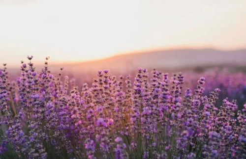 La Casa del Pan de Archivel - Foto 60