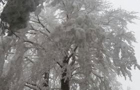 Annina house - Foto 38