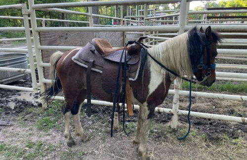 1 Large Bedrooms Estate Pool - Foto 29