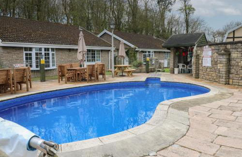 Badger Sett in Granite Henge near Looe - Foto 17