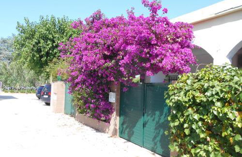 Casa La Madriguera - Photo 9