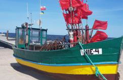 PINEA BALTIC - Double Sea View - Apartment z widokiem na morze - Photo 58