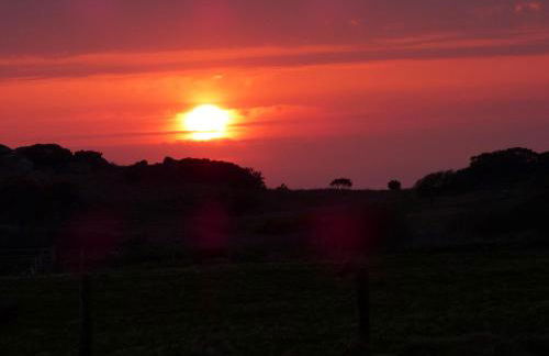 Lapwing - Uk6706 - Foto 14