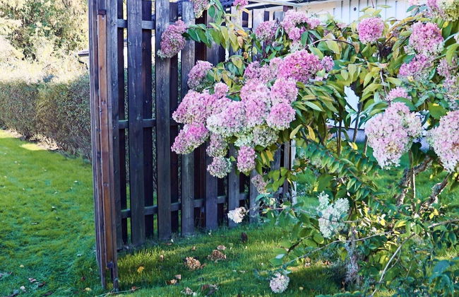 Amazing Holiday Home in the Nature-by Traum - Foto 19