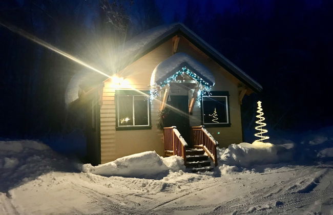 Takleetnas Mount Dall Cottage with Wi-fi and washer/dryer - Foto 15