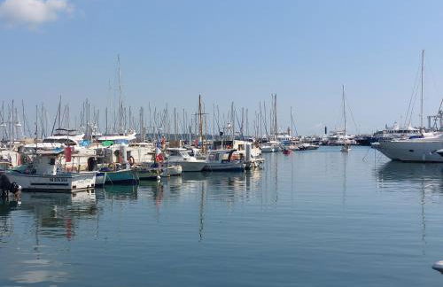 Place du Suquet - In the hart of old Cannes - 2 Min Walking distance from Palais de Festivals and Beaches - Photo 52