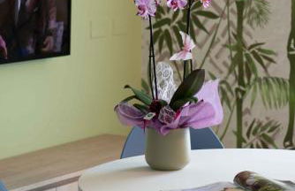 Residence Il Melograno - Foto 35