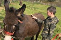 Farm accommodation - The Lizard Peninsula, Cornwall - Foto 13