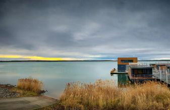 die Möwen - Foto 28