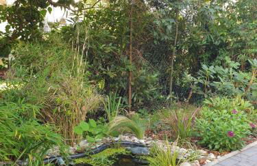 Romantisches 1 Zimmer-Apartment mit Garten an der Weser - Foto 10